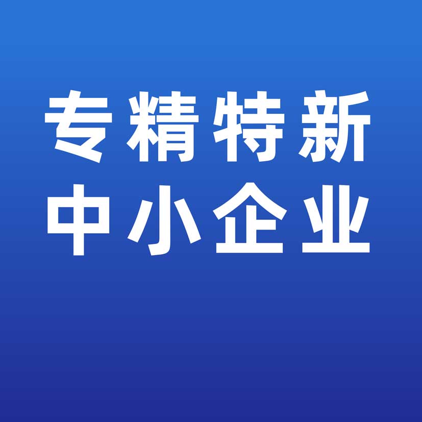 402永利集团官网入口子公司荣获“湖北省专精特新中小企业”称号