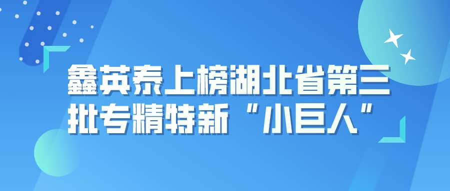 402永利集团官网入口上榜湖北省第三批专精特新“小巨人”企业名单