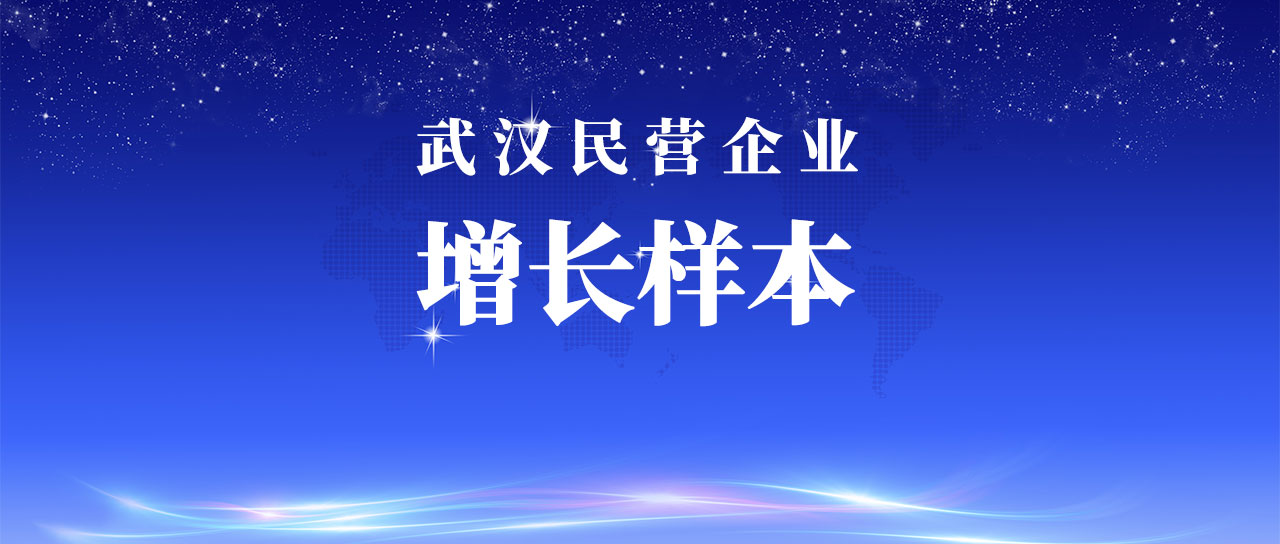 402永利集团官网入口入选武汉市民营企业增长样本企业